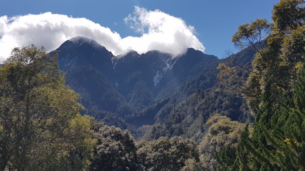 南橫天池沿線步道山峰景色