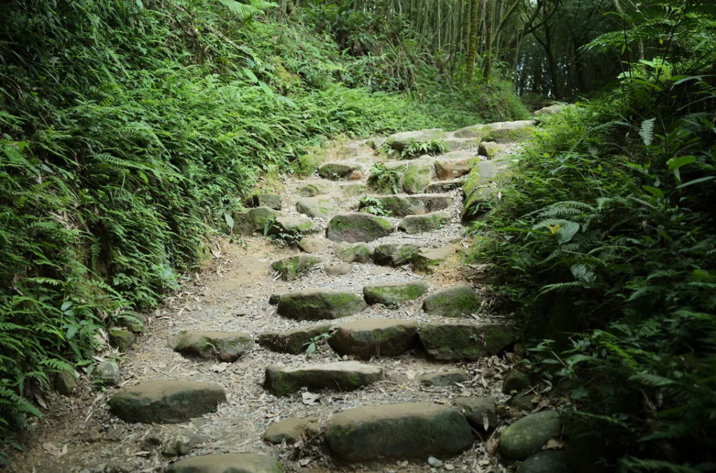 小百岳大棟山石階